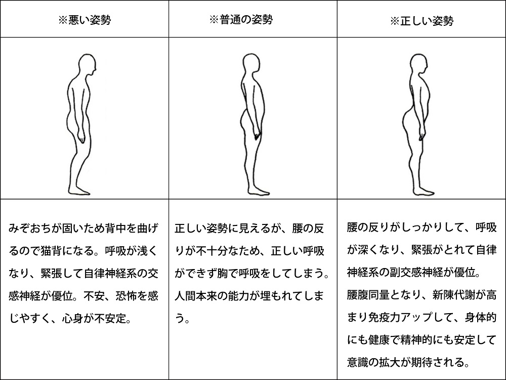 これが正しい姿勢 Topメイン画面 Ucsc ユニバーサル中心コンサルティング 荒井式中心気功