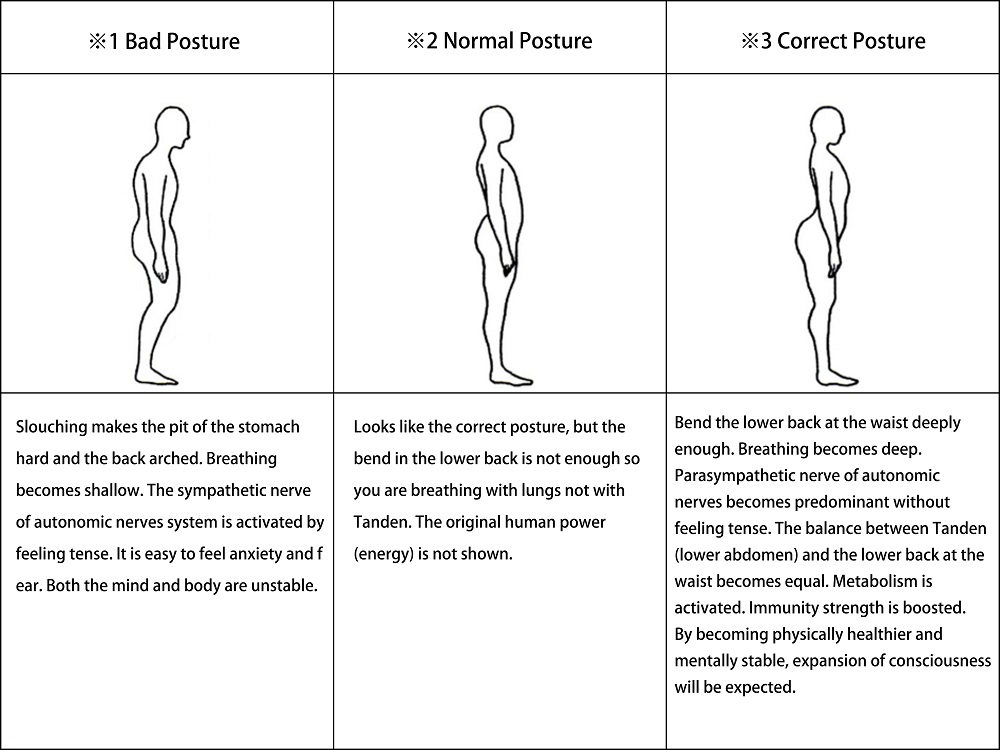This is the Correct Posture!!